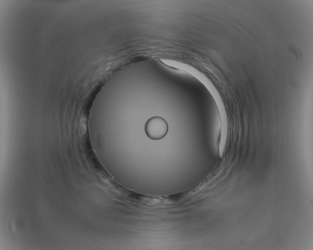 X0000113240621200910011327