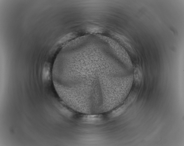 X0000113240622200910011327