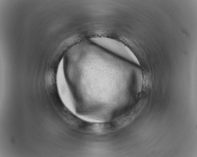 X0000113240623200910011327