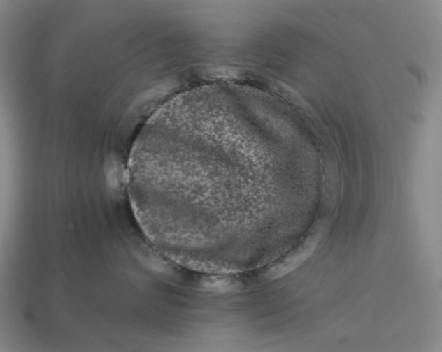 X0000113240624200910011327