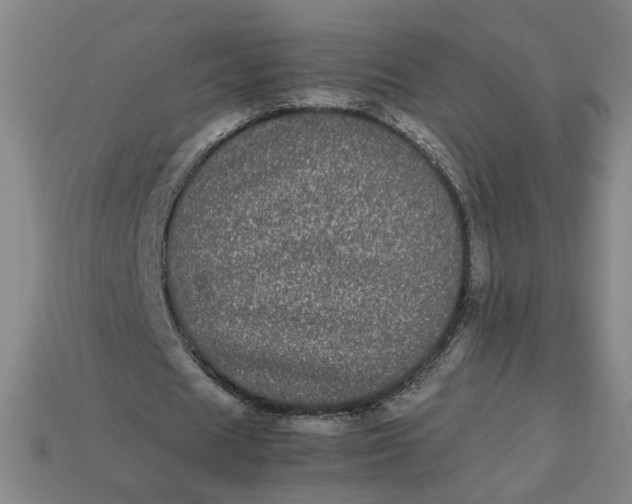 X0000113240625200910011326