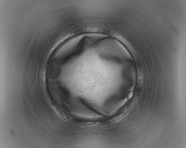 X0000113240626200910011326