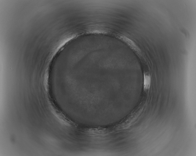 X0000113240627200910011326