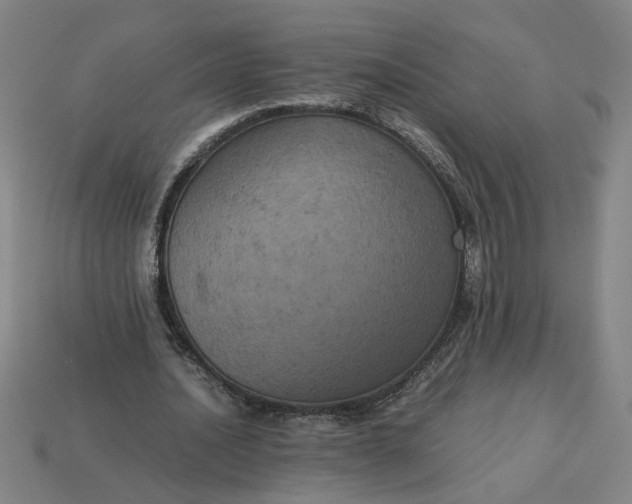 X0000113240628200910011326