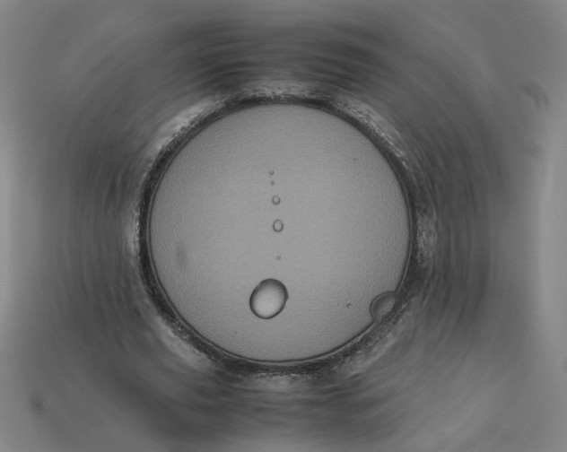 X0000113240629200910011326