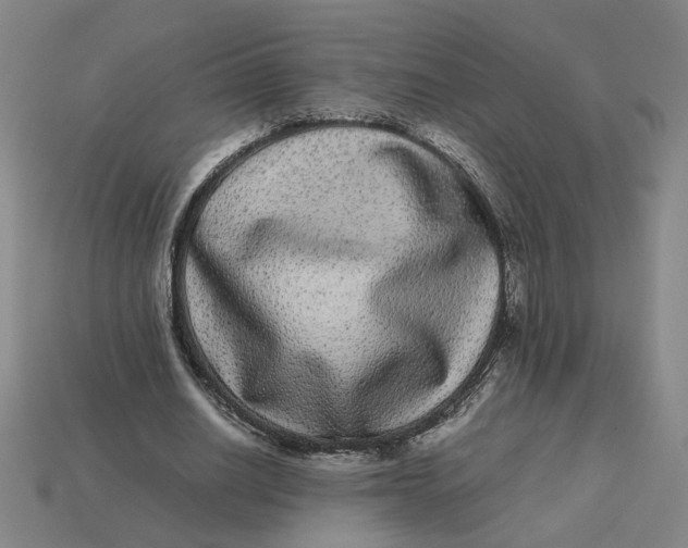 X0000113240630200910011326