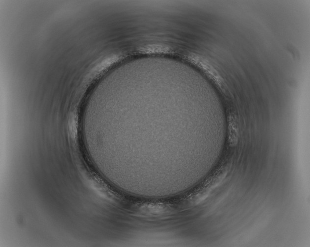 X0000113240631200910011326