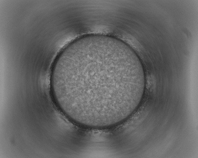 X0000113240632200910011326