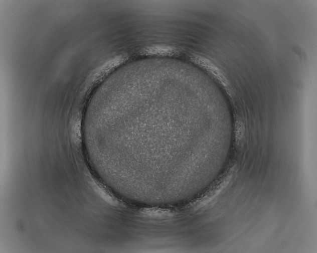 X0000113240633200910011327