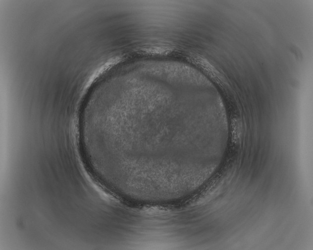 X0000113240634200910011327