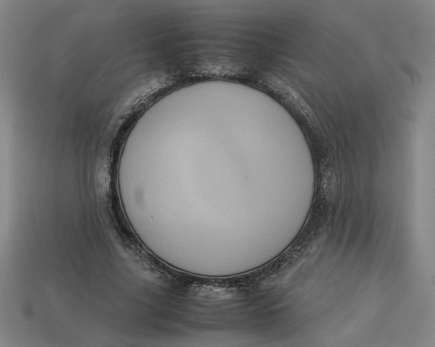 X0000113240635200910011327