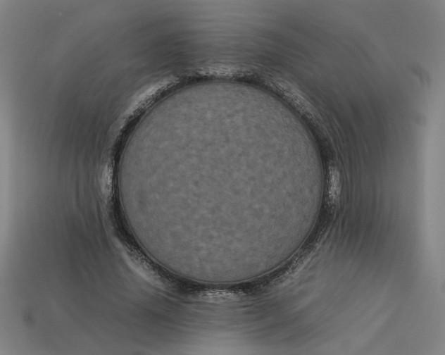 X0000113240636200910011327