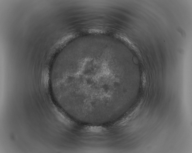 X0000113240637200910011327