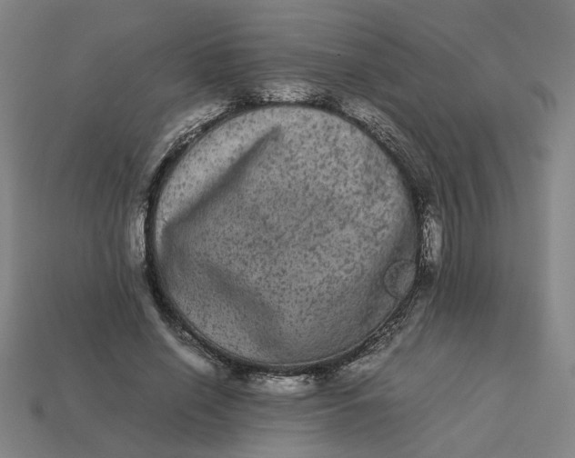 X0000113240638200910011327