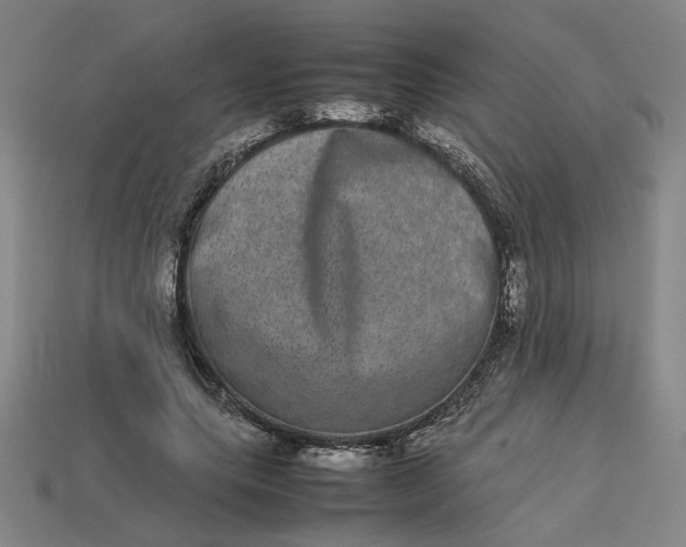 X0000113240639200910011327