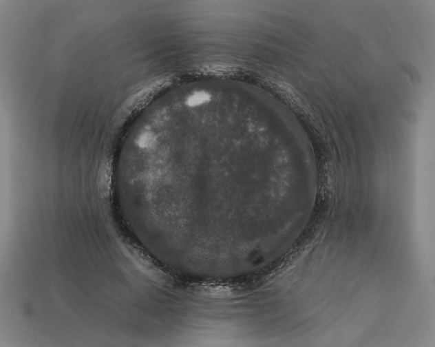 X0000113240640200910011327