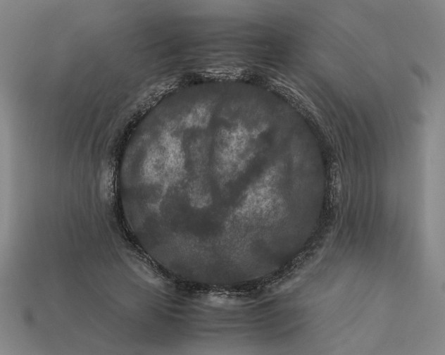 X0000113240641200910011327