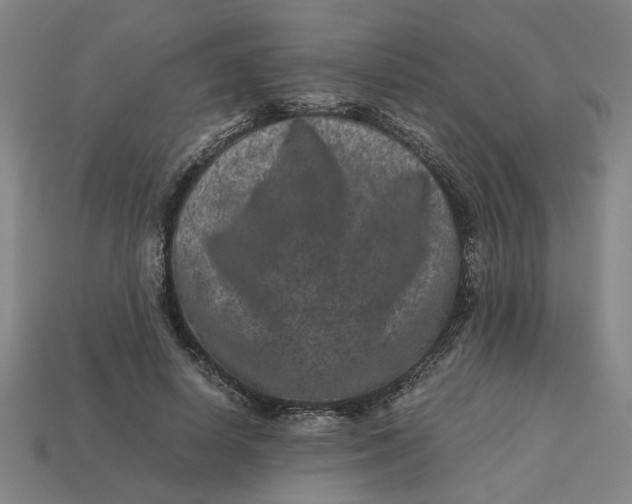 X0000113240642200910011327