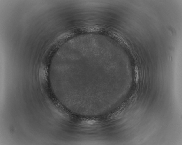 X0000113240643200910011327