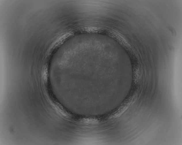 X0000113240644200910011327