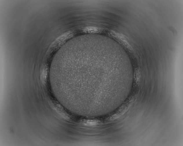 X0000113240645200910011327