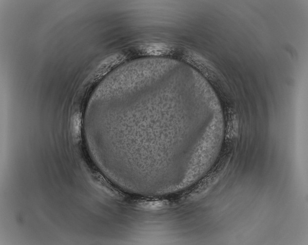 X0000113240646200910011327