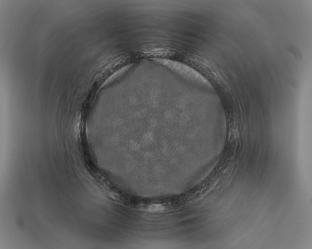 X0000113240647200910011327