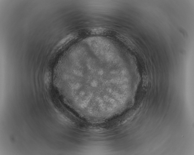 X0000113240648200910011327