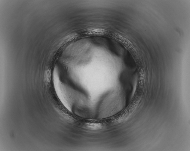 X0000113240649200910011327