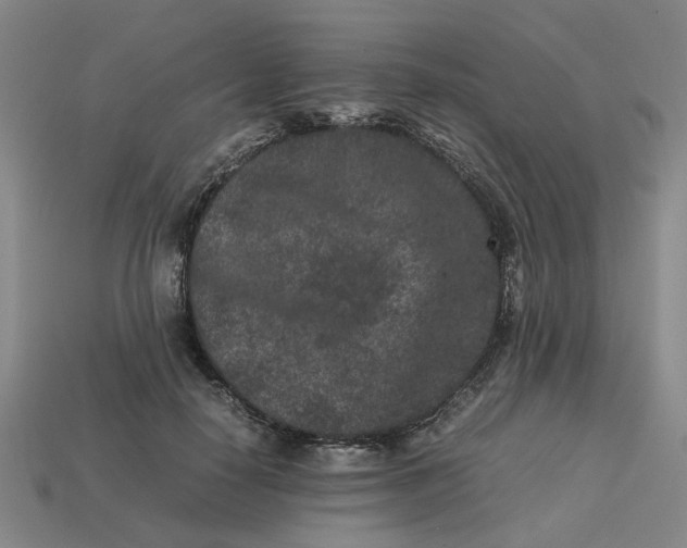 X0000113240650200910011327