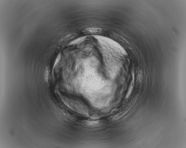 X0000113240651200910011327