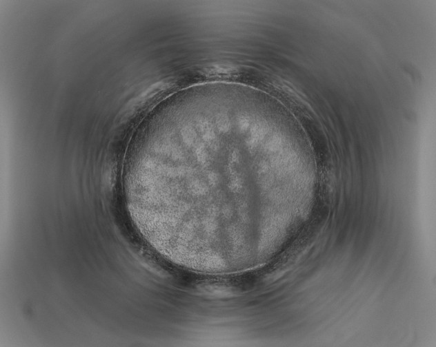 X0000113240652200910011327