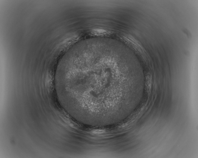 X0000113240653200910011327