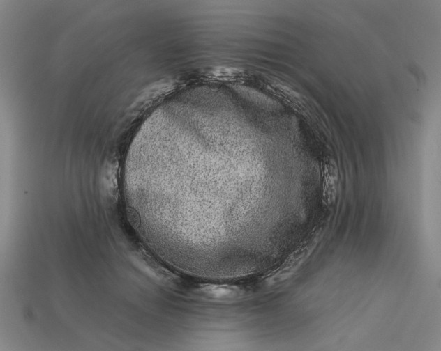 X0000113240654200910011327