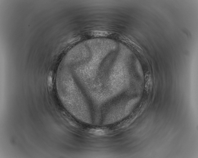 X0000113240655200910011327