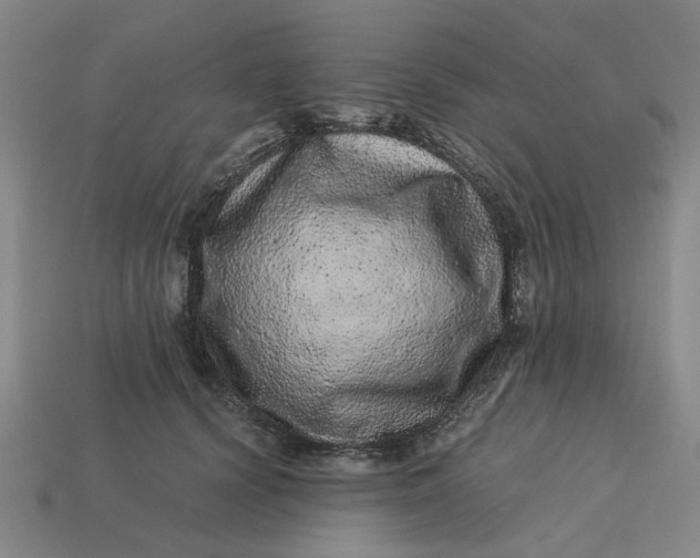 X0000113240656200910011327