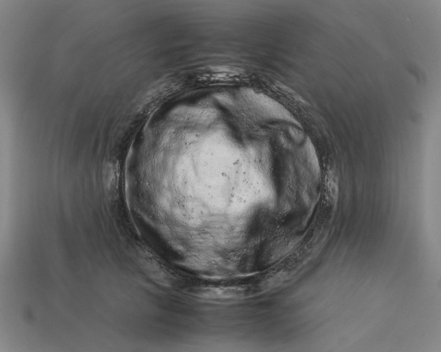 X0000113240657200910011327