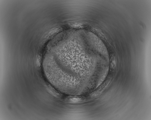 X0000113240658200910011327