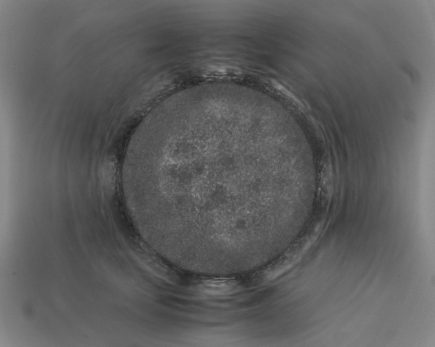 X0000113240659200910011327