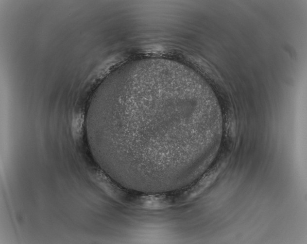 X0000113240660200910011327