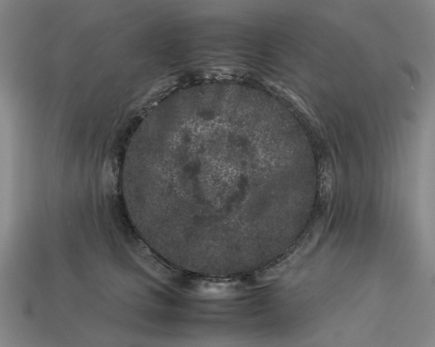 X0000113240661200910011327