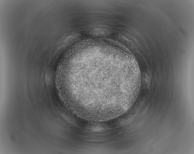 X0000113240663200910011327