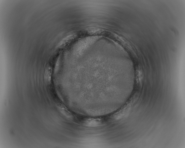 X0000113240664200910011327