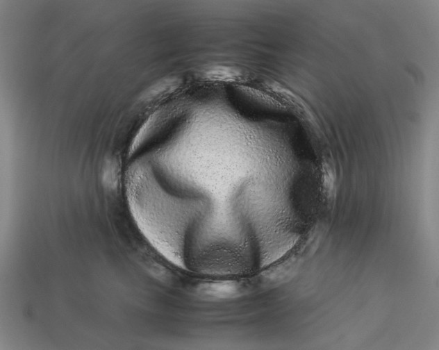 X0000113240665200910011327