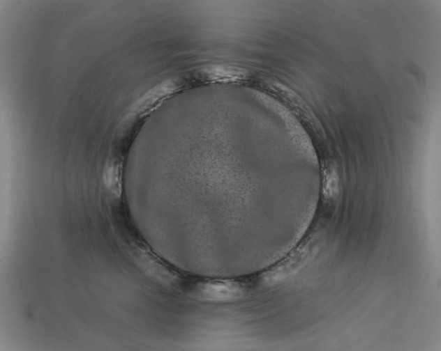 X0000113240666200910011327