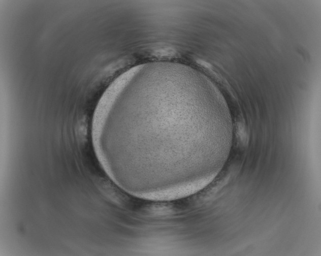 X0000113240668200910011327