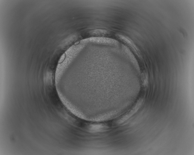 X0000113240669200910011327