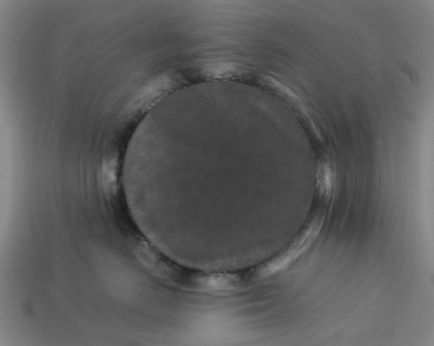 X0000113240670200910011327