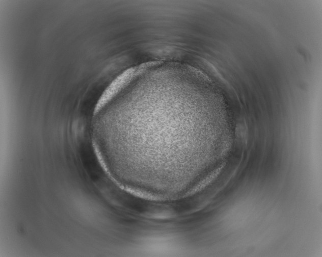 X0000113240671200910011327