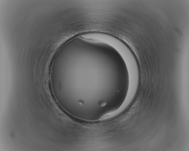 X0000113240673200910011326